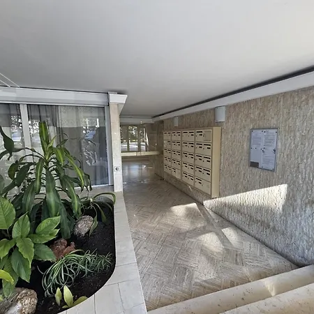 Apartman Jean Bart *